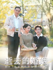 逝去的婚姻海报图