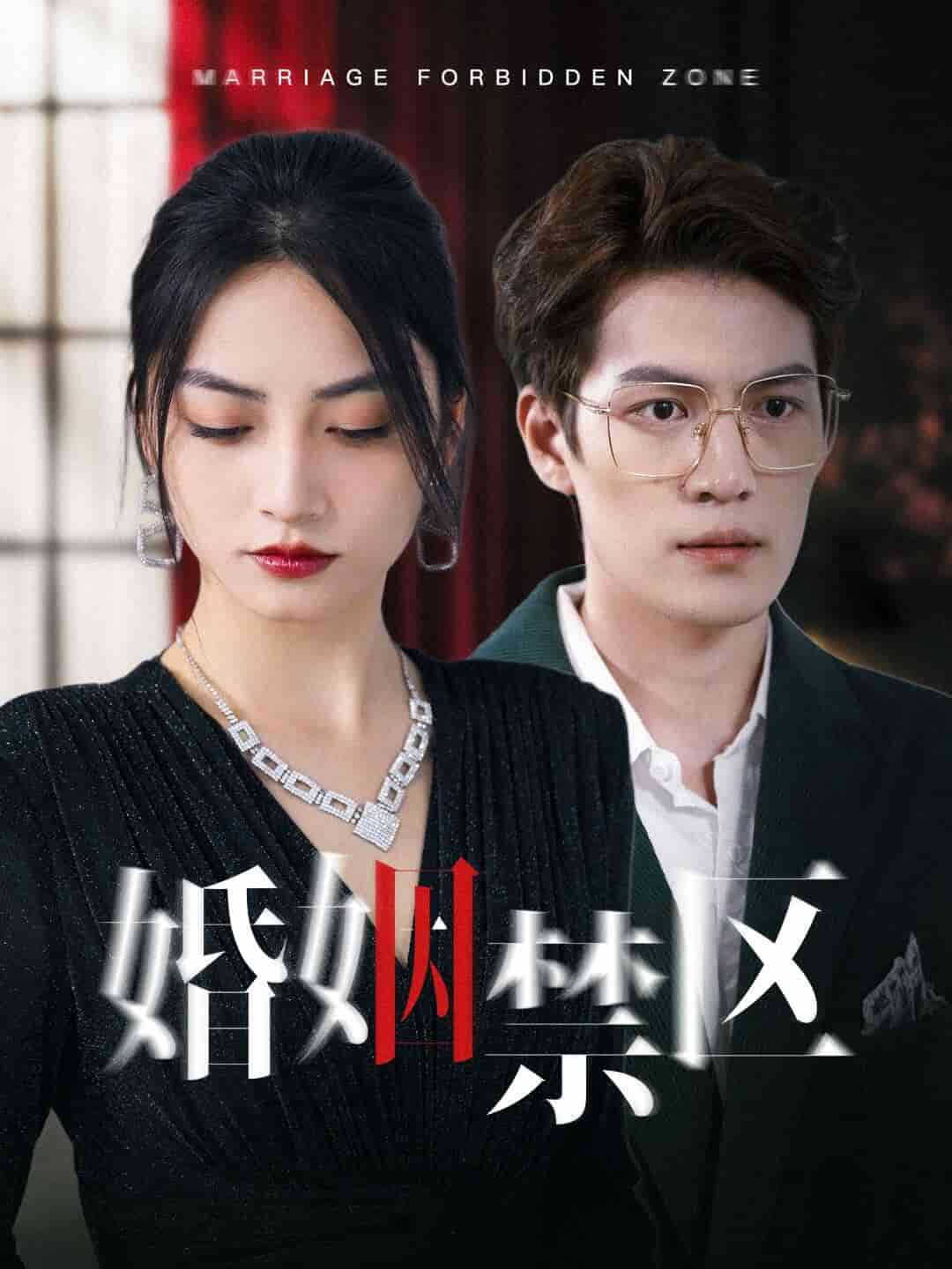 婚姻禁区海报图