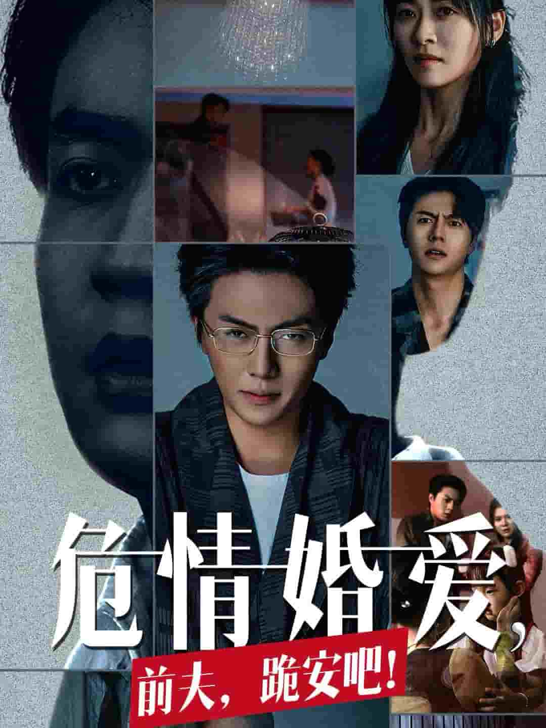 危情婚爱前夫跪安吧海报图