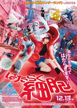 工作细胞真人封面图