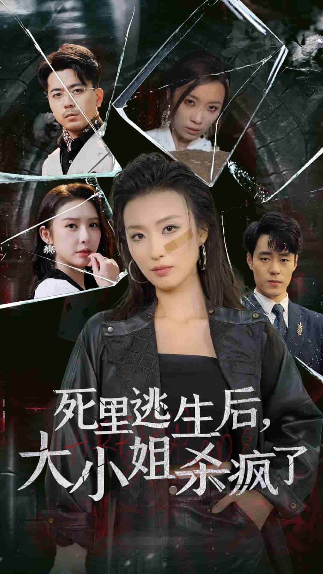 死里逃生后大小姐杀疯了海报图