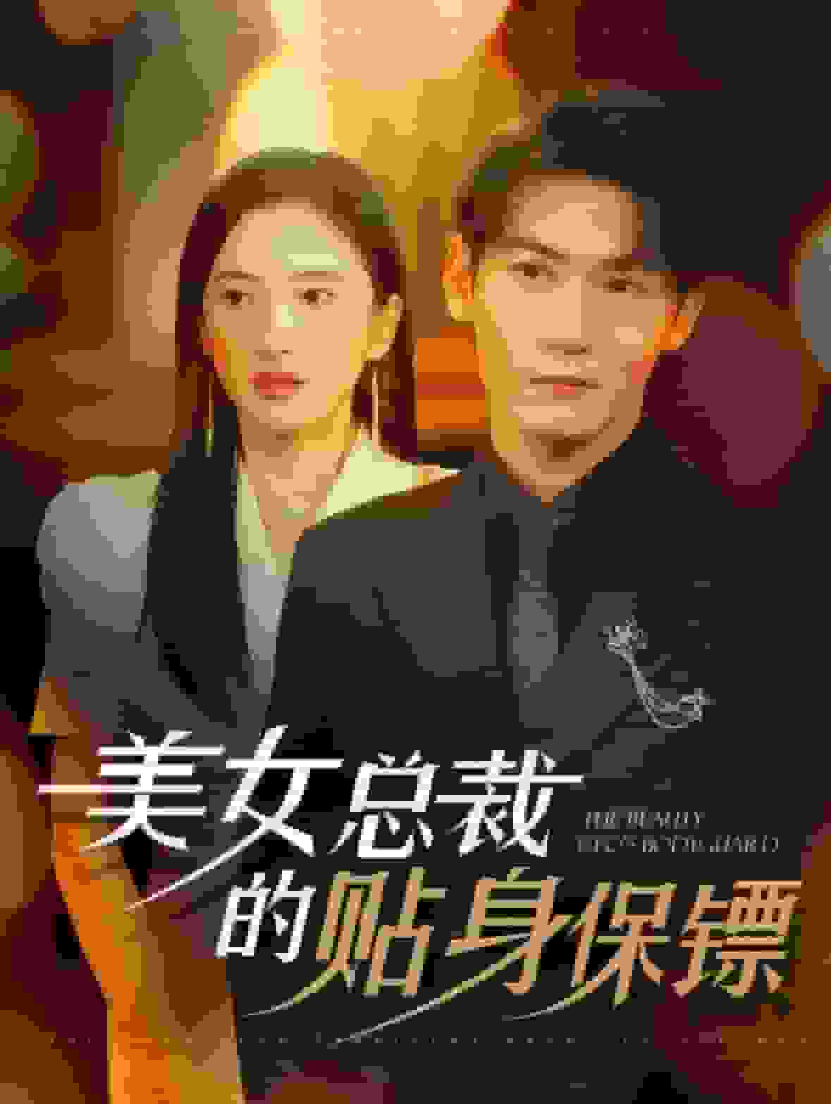 美女总裁的贴身保镖海报图