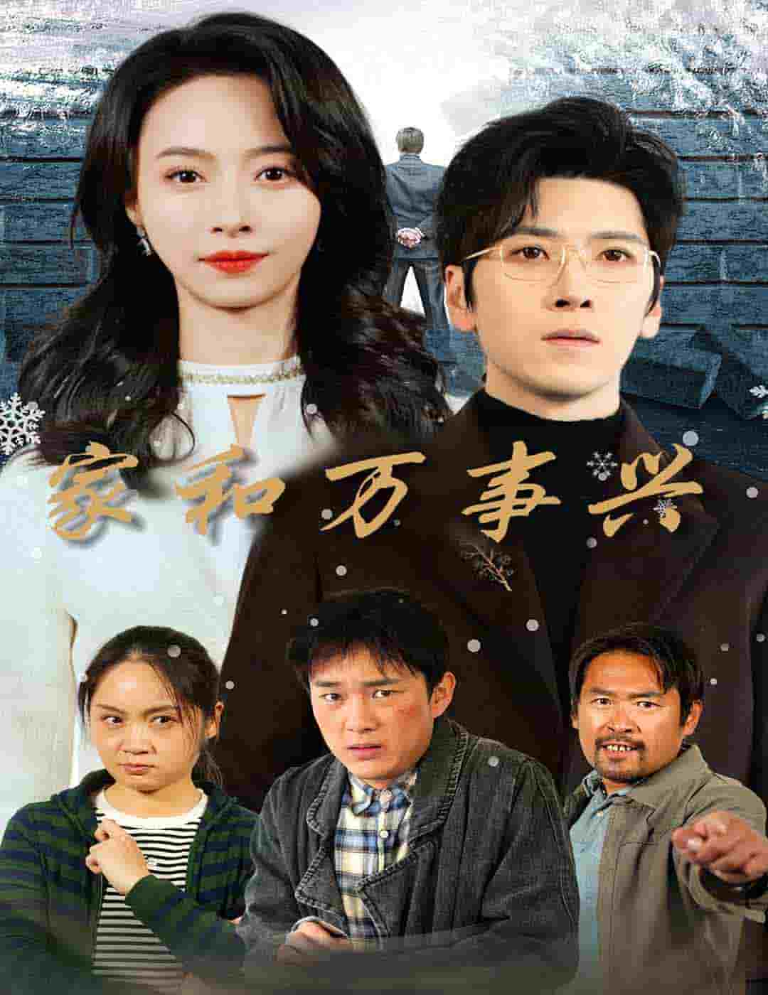 家和万事兴 短剧版海报图