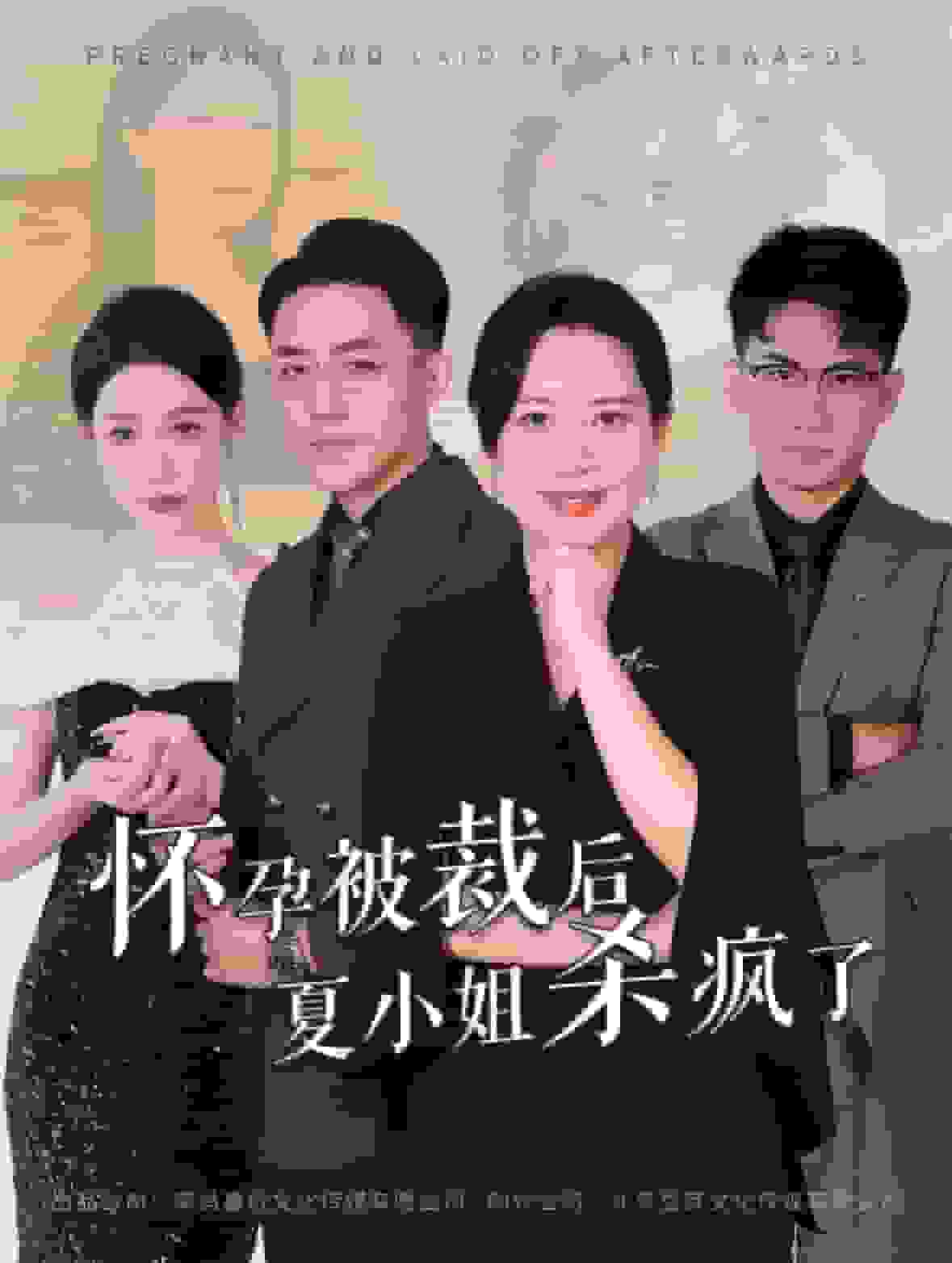怀孕被裁后夏小姐杀疯了海报图