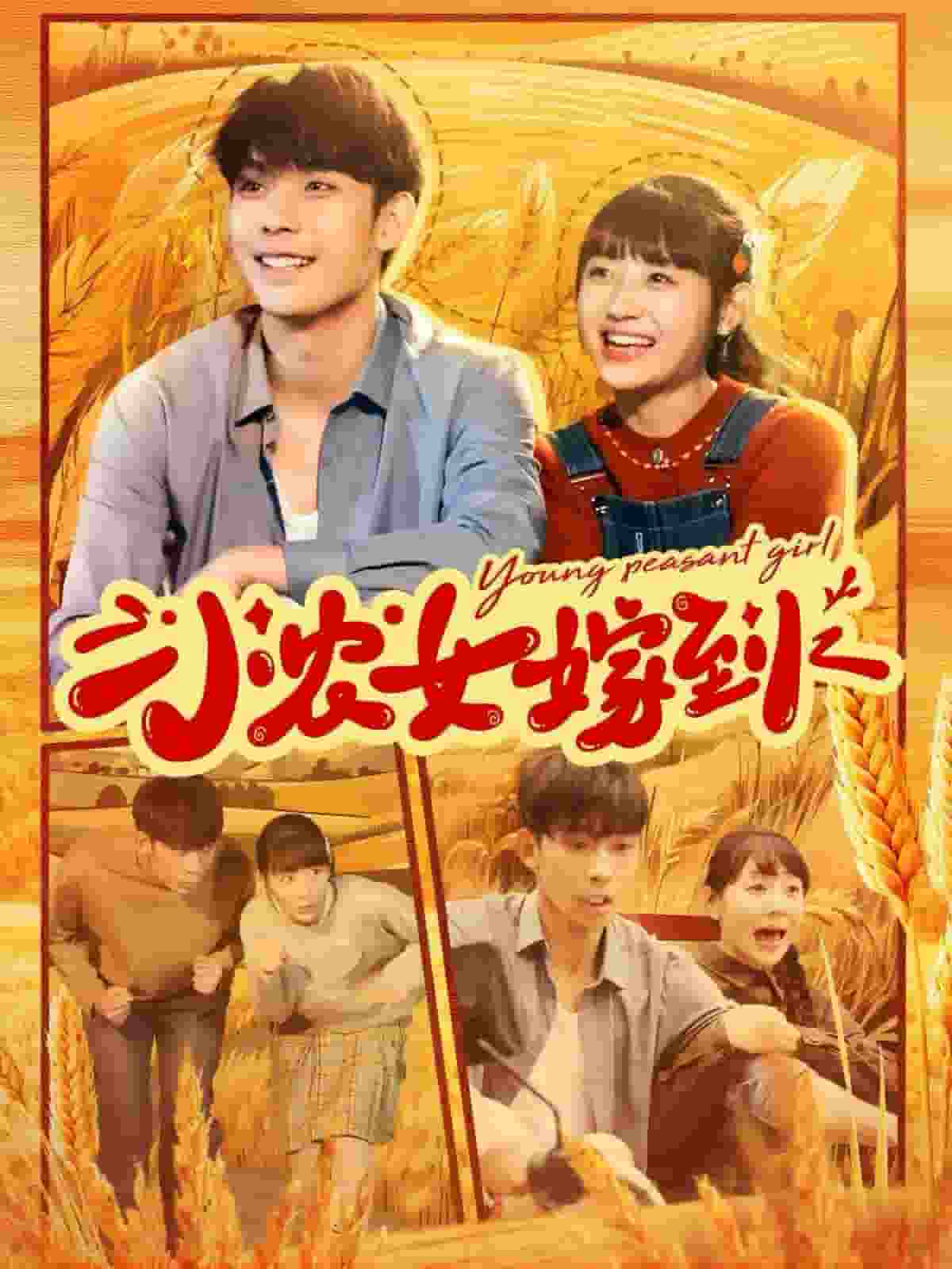 小农女嫁到海报图