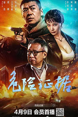 危险证据2024封面图