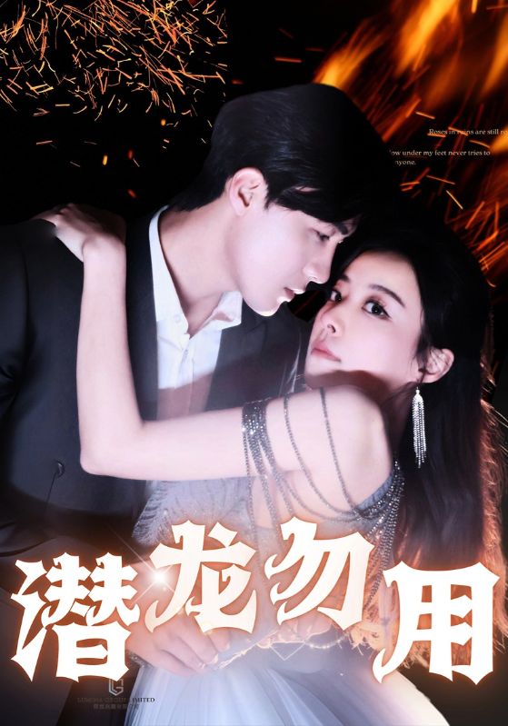 潜龙勿用海报图