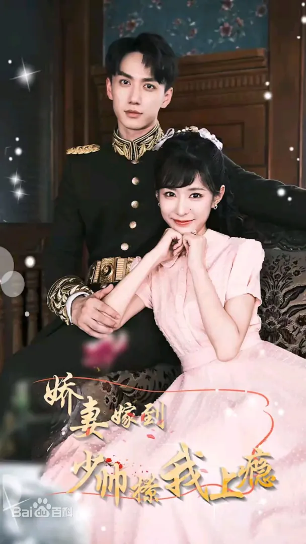 娇妻嫁到，少帅撩我上瘾海报图