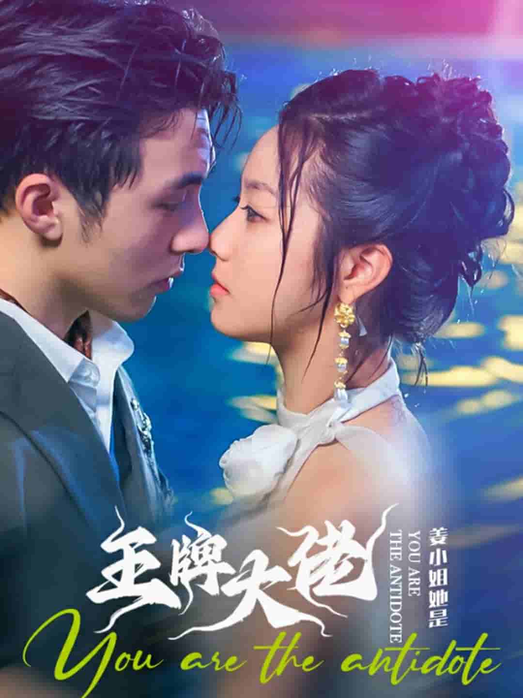 姜小姐她是王牌大佬海报图