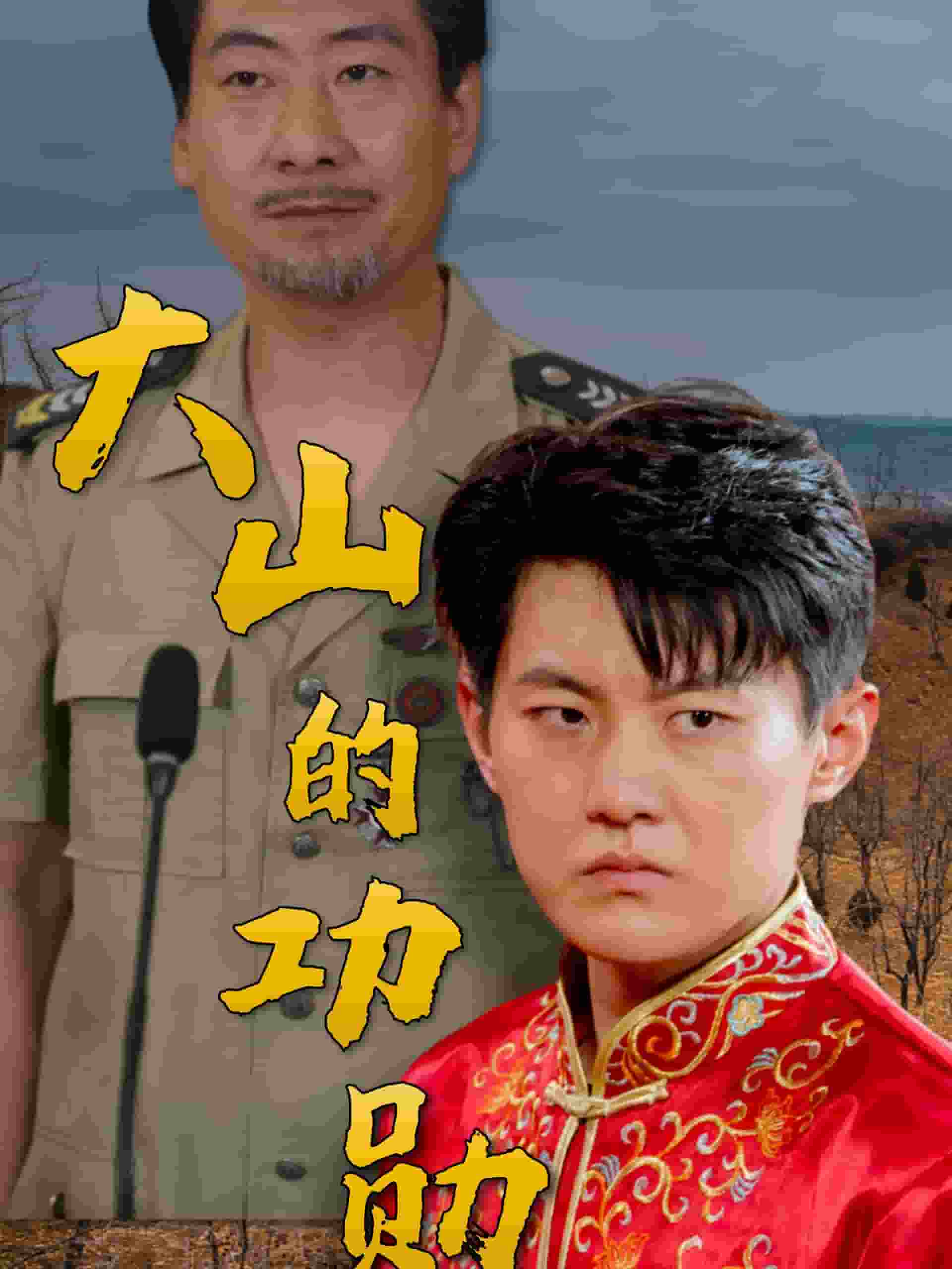 大山的功勋海报图
