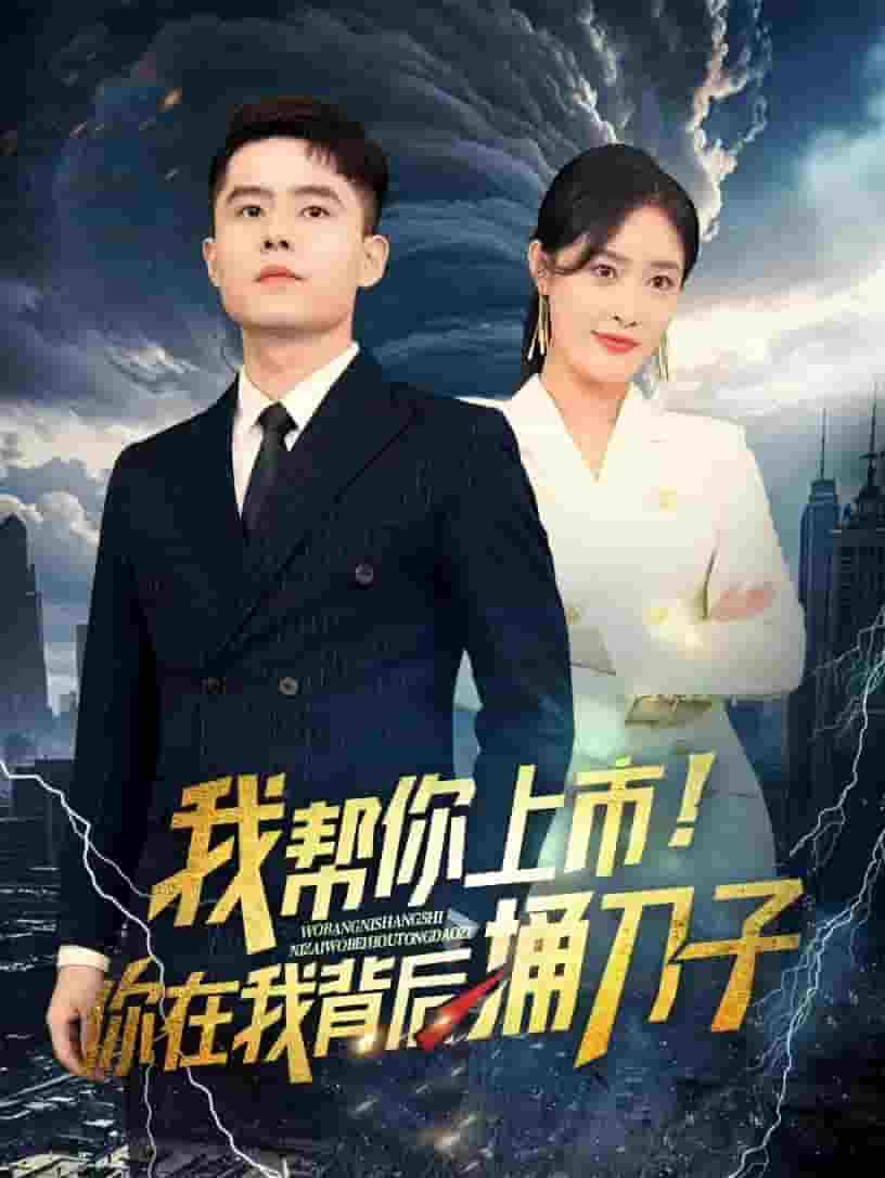 我帮你上市！你在我背后捅刀子海报图
