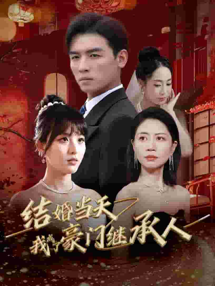 结婚当天我成了豪门继承人海报图