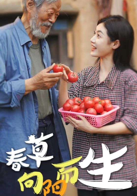 春草向阳而生海报图
