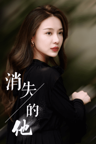 消失的他海报图
