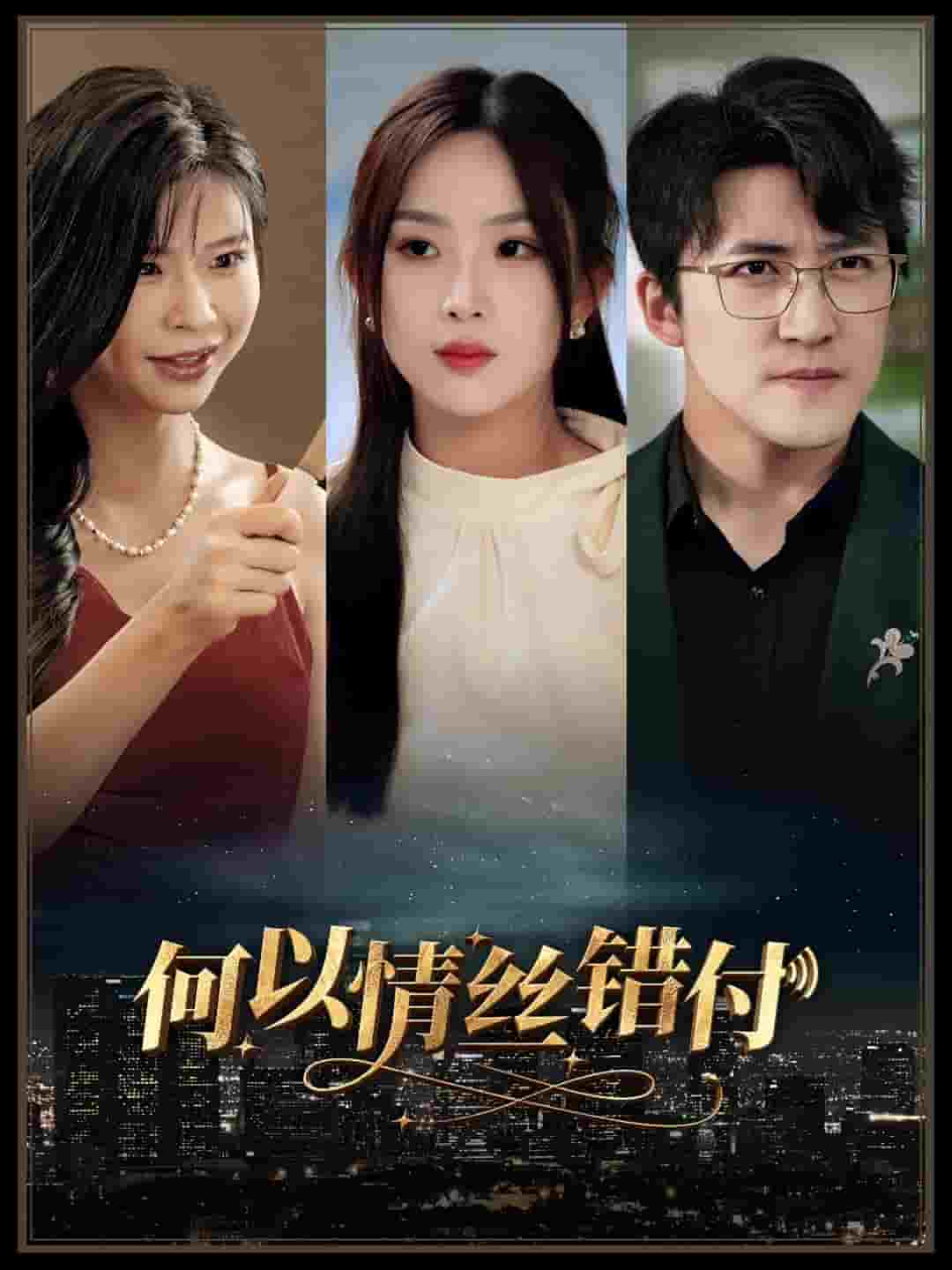何以青丝错付海报图