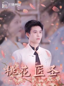 桃花医圣海报图