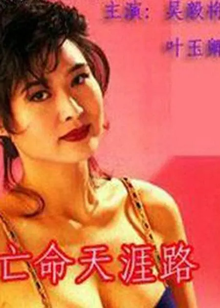 亡命天涯路封面图