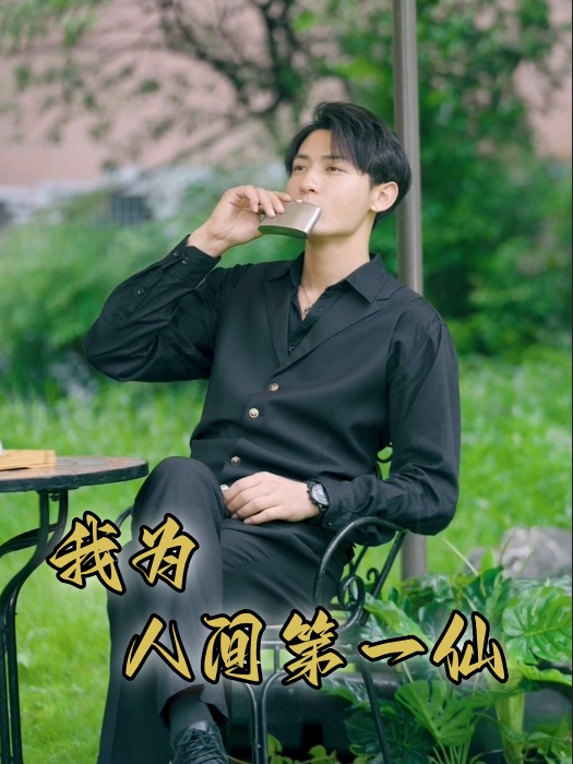 我为人间一仙海报图
