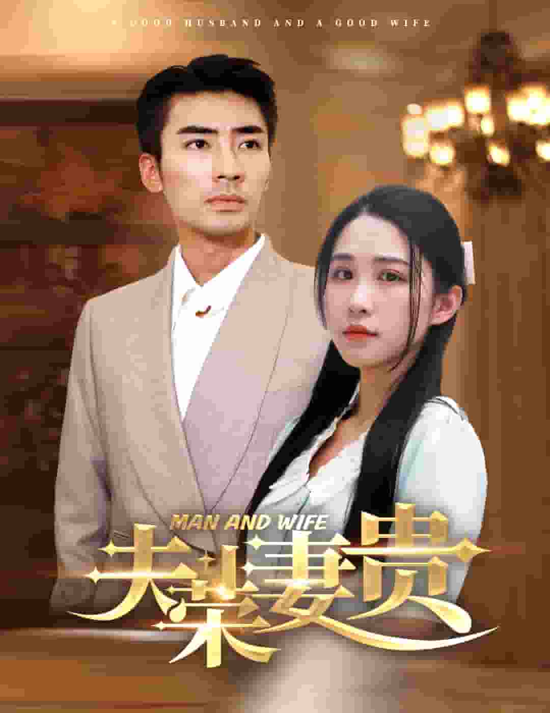 夫荣妻贵封面图