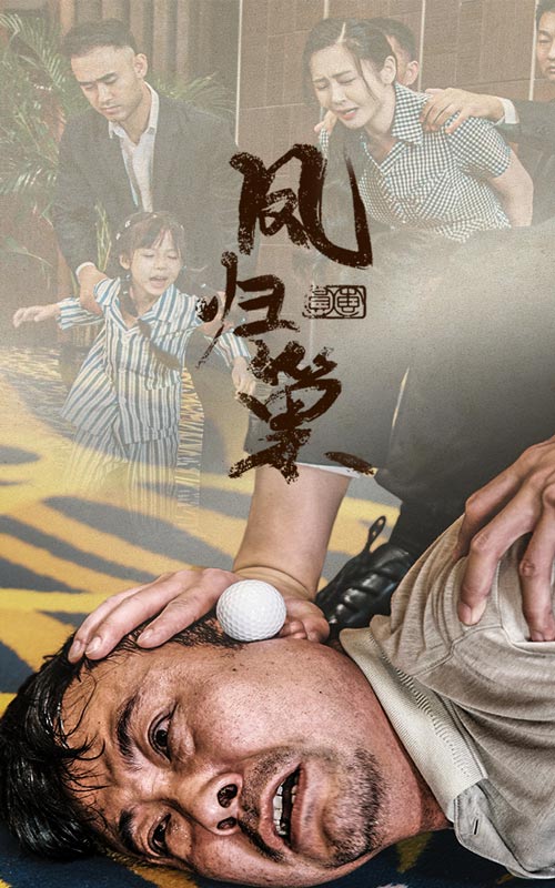 新版：凤归巢海报图