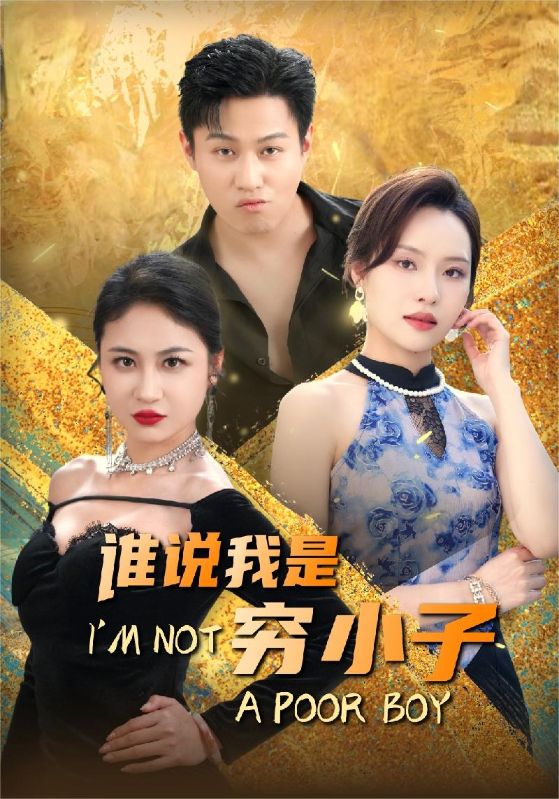 谁说我是穷小子海报图