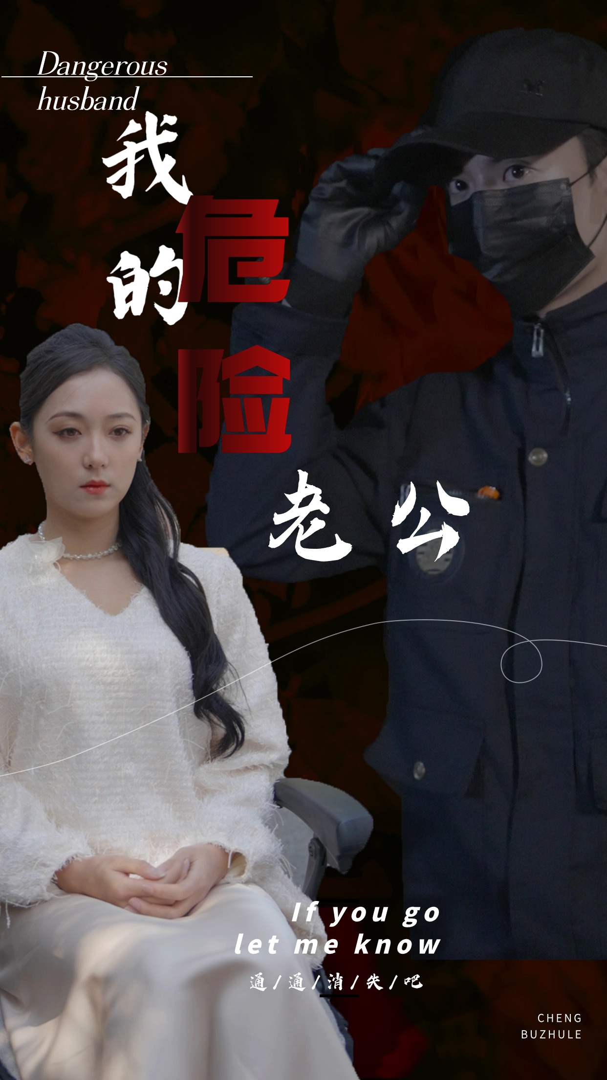 我的危险老公海报图