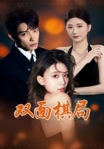 双面棋局海报图