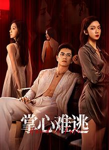掌心难逃海报图