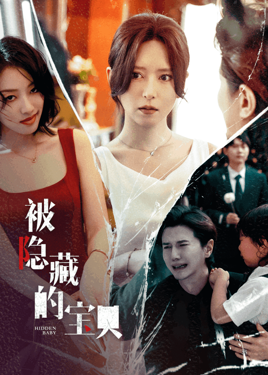 被隐藏的宝贝海报图