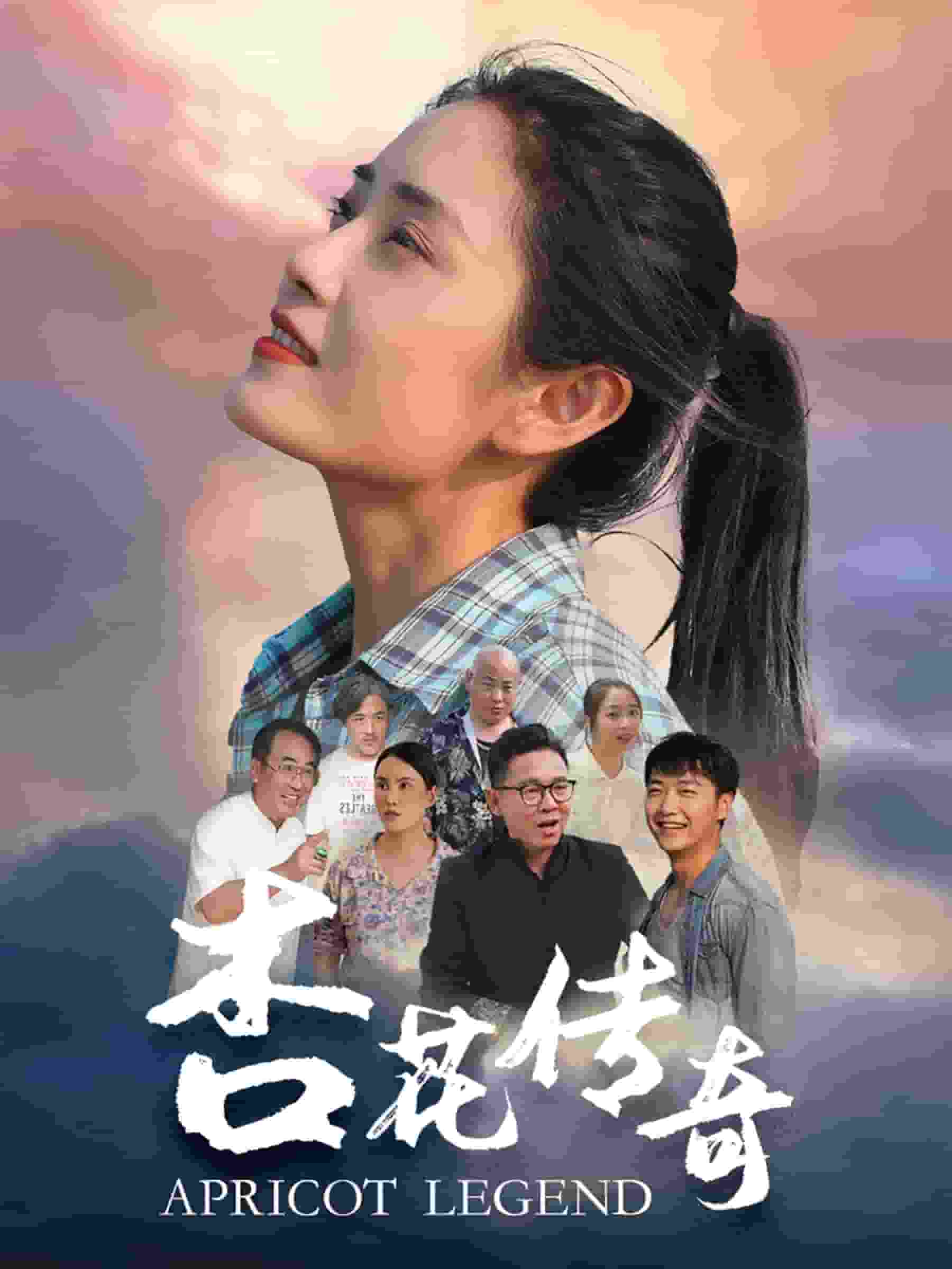 杏花传奇海报图