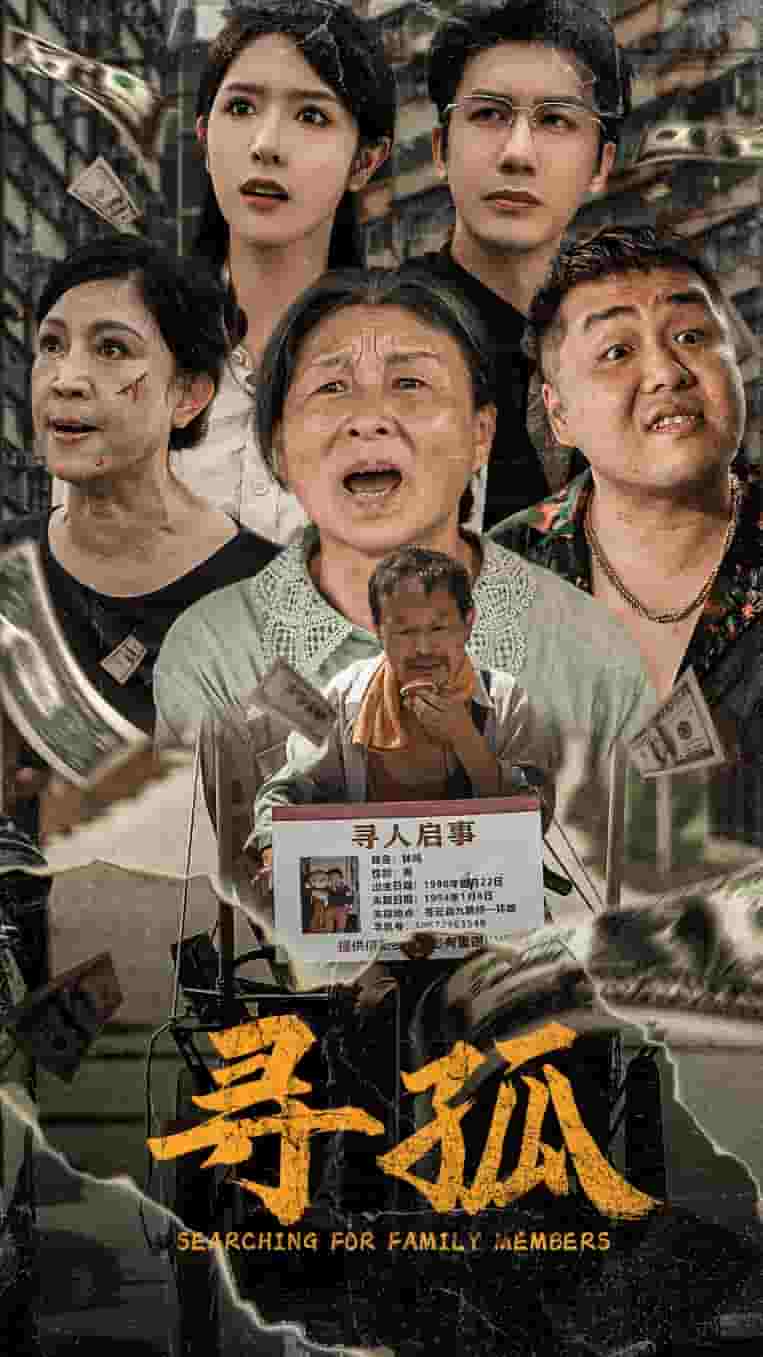 寻孤海报图