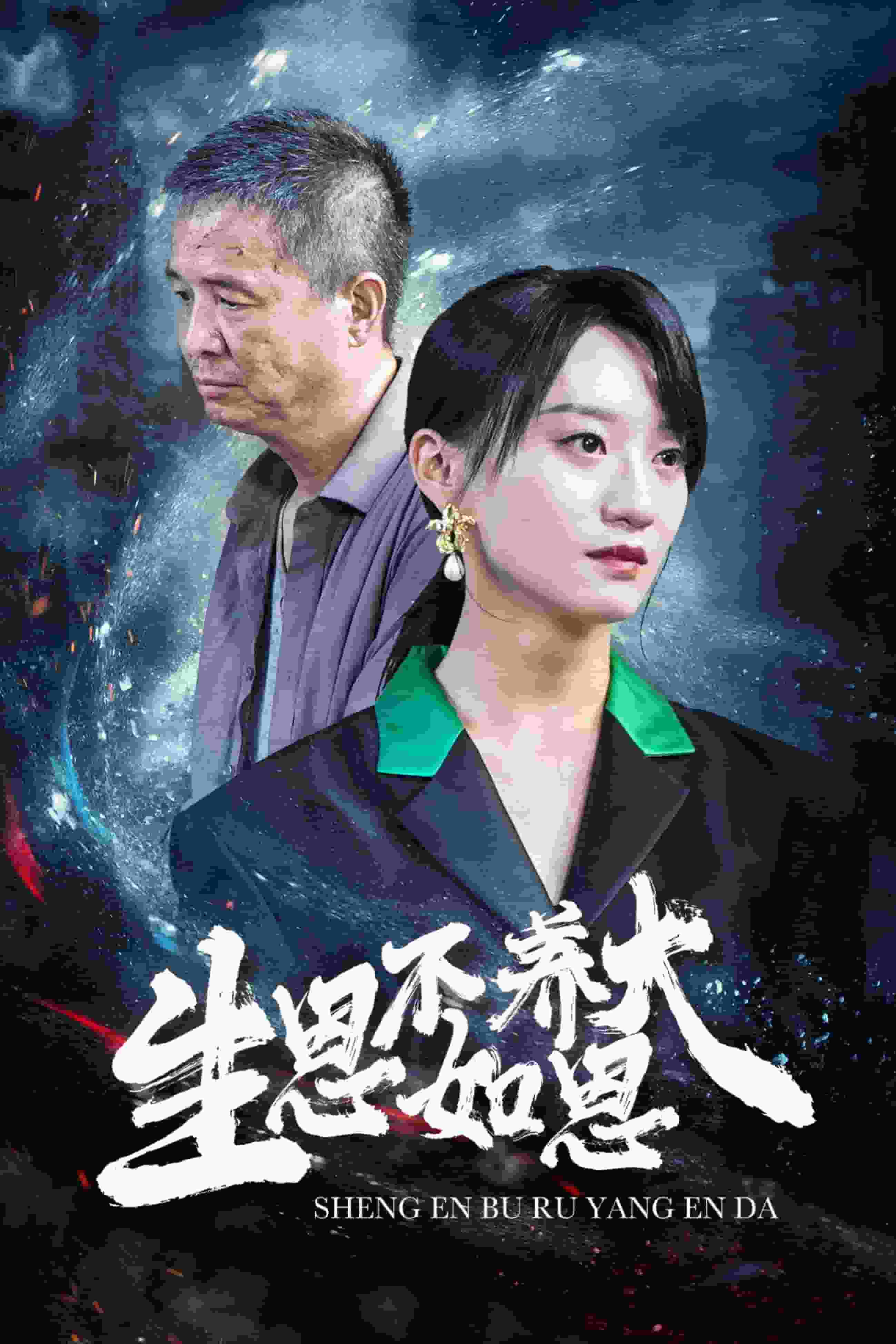 生恩不如养恩大海报图