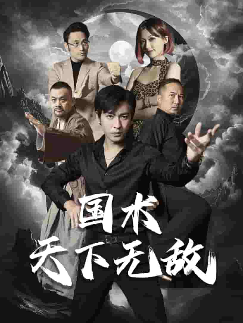 国术天下无敌海报图
