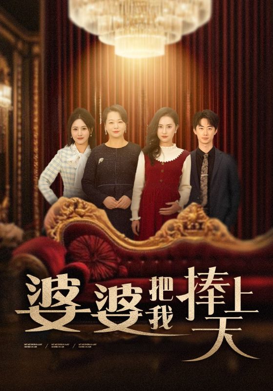 婆婆把我捧上天海报图