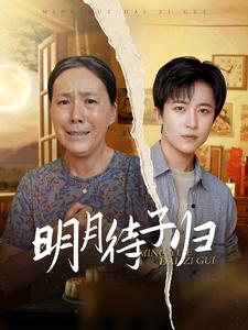 明月待子归海报图