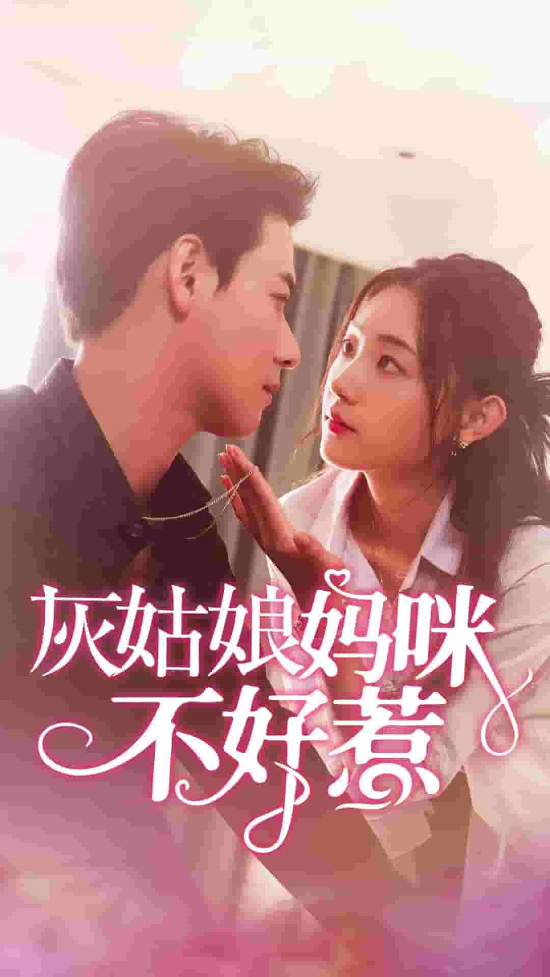 灰姑娘妈咪不好惹海报图
