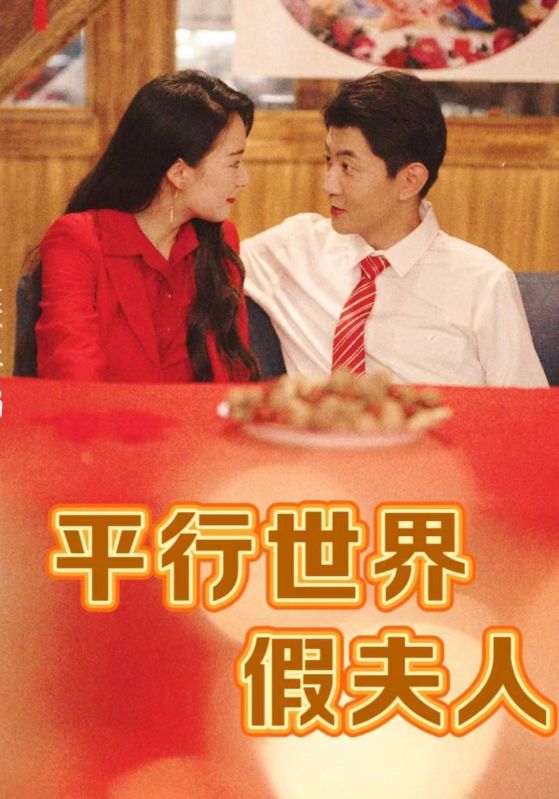 平行世界假夫人海报图