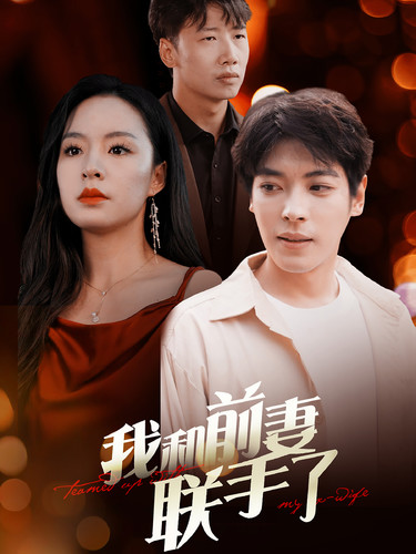 我和前妻联手了海报图