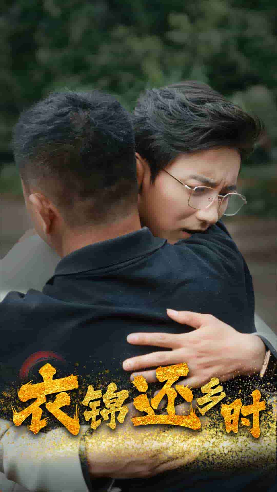 衣锦还乡时海报图