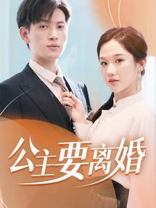 公主要离婚海报图