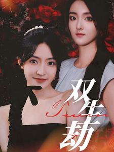 双生劫海报图