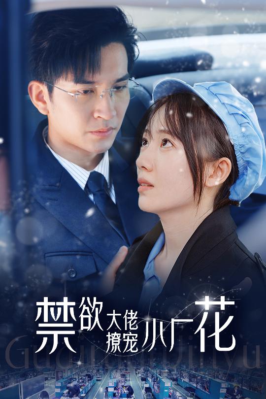 禁欲大佬撩宠小厂花海报图
