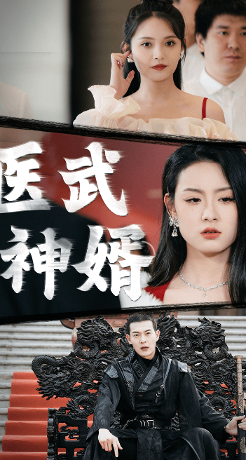 医武神婿海报图