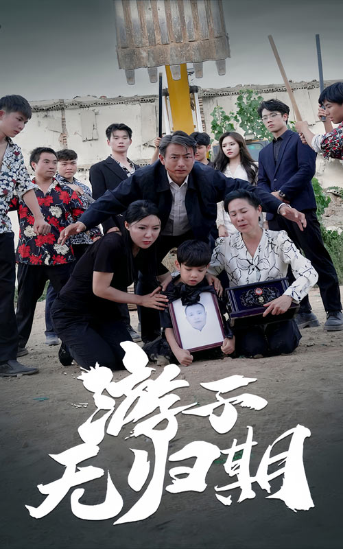 游子无归期海报图
