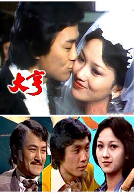 大亨粤配1978封面图
