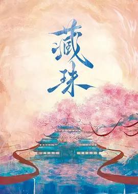藏珠封面图