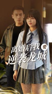 离婚后我要逆袭龙城海报图