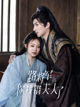 路将军，你找错夫人了海报图