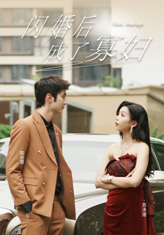 闪婚后成了寡妇海报图