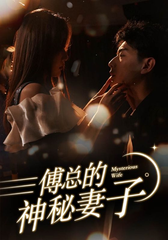 傅总的神秘妻子海报图